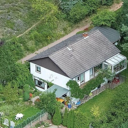 Amazing Apartment In Hinterweidenthal With Wifi ภายนอก รูปภาพ